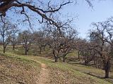 02-D Henry Coe State Park